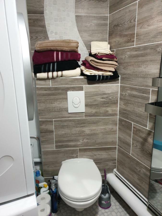 Residence Azur Sancy Fibre Orange Le Mont-Dore Eksteriør billede